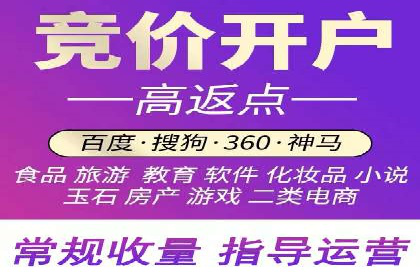 百度竞价赚钱技巧：案例分析
